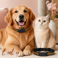 Traceur GPS 4G étanche IP67 pour chiens et chats – Localisation en temps réel