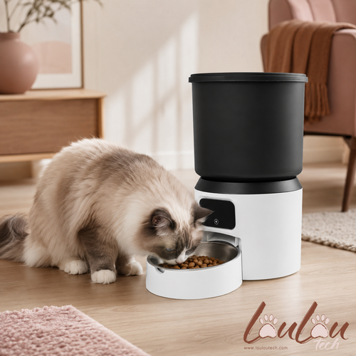 Distributeur automatique 4 L avec caméra pour chats et chiens